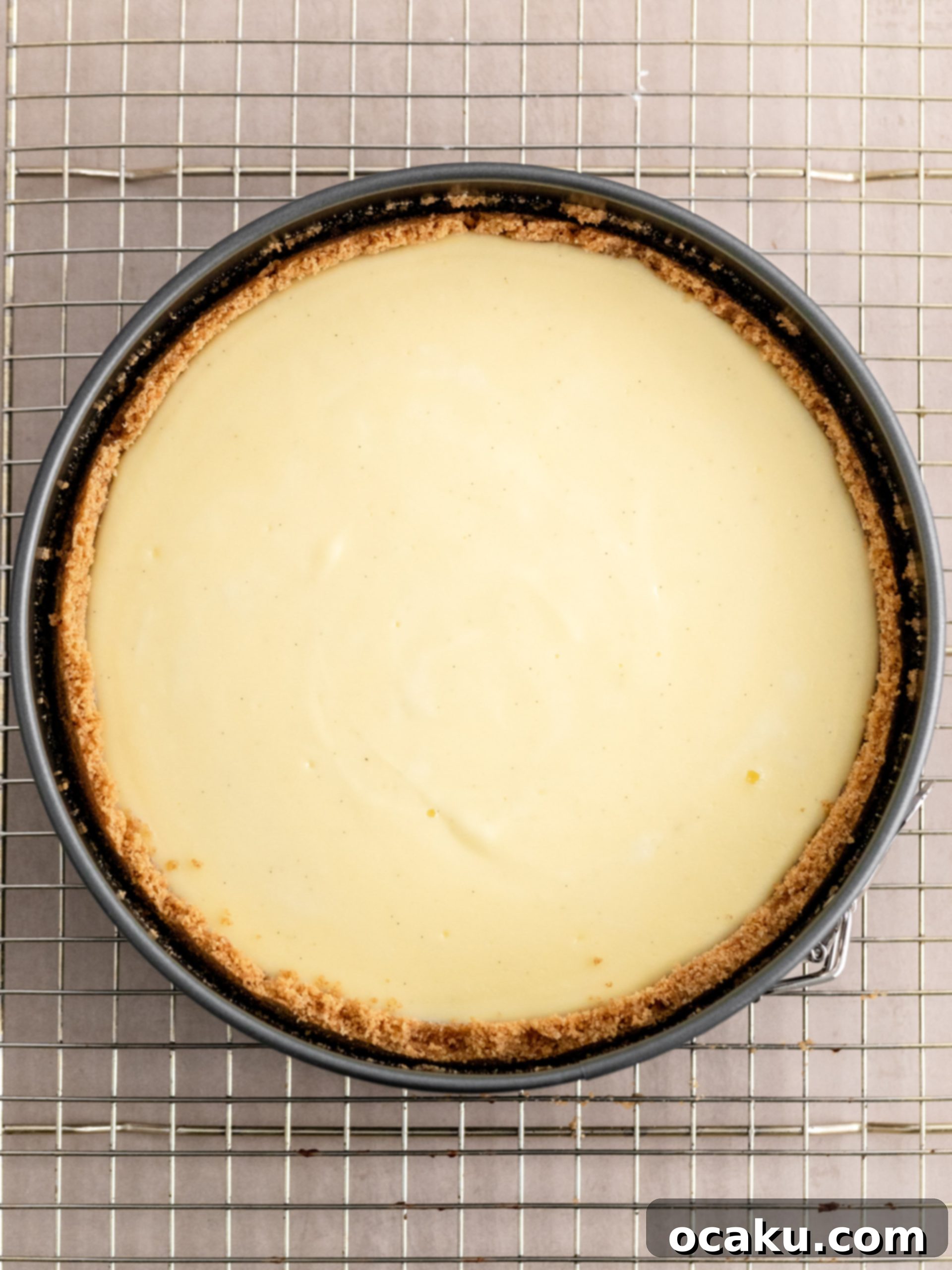 Baked cookie crust in a springform pan