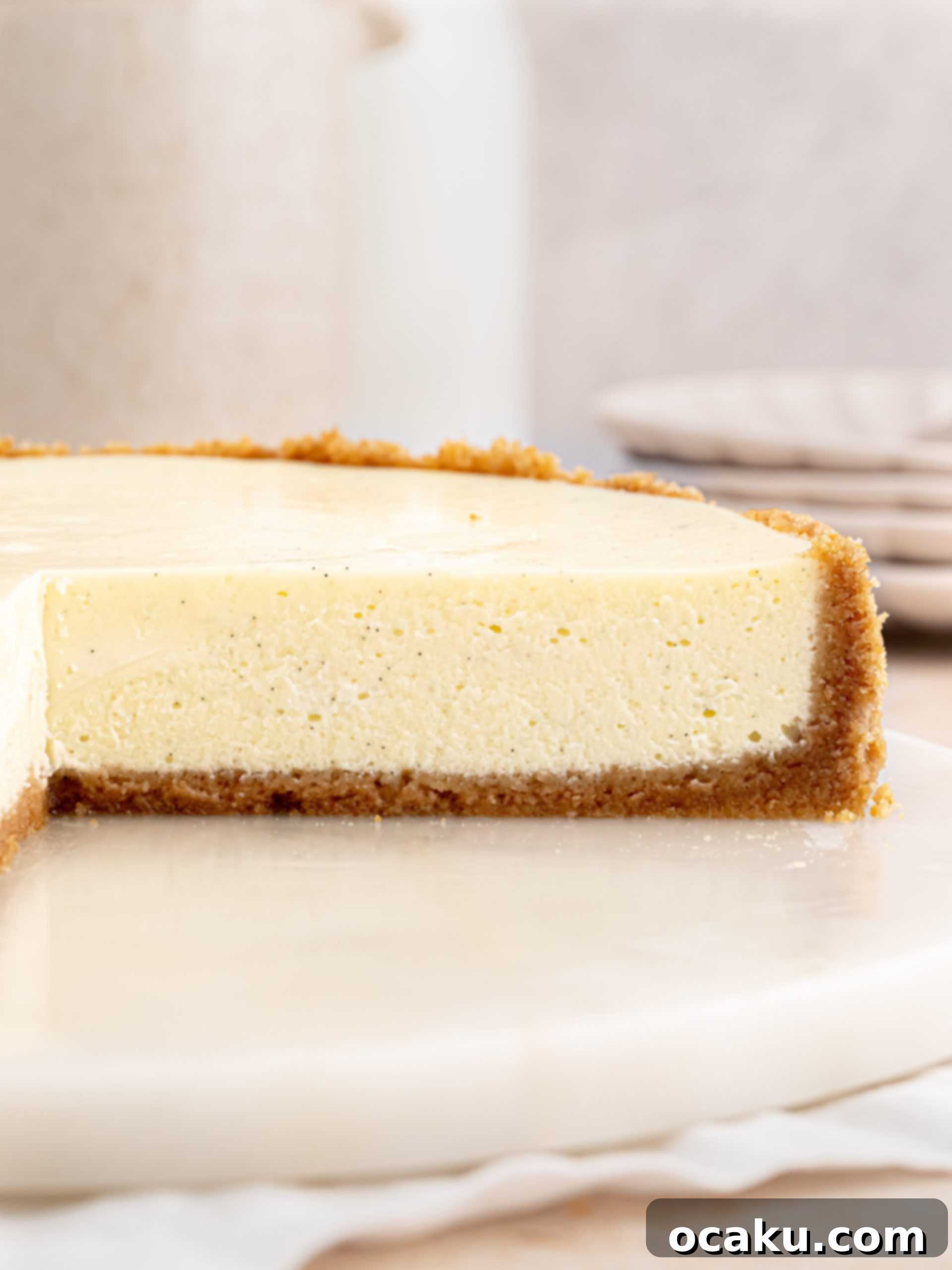 Decadent Vanilla Cheesecake 7 A beautifully baked vanilla cheesecake cooling on a wire rack