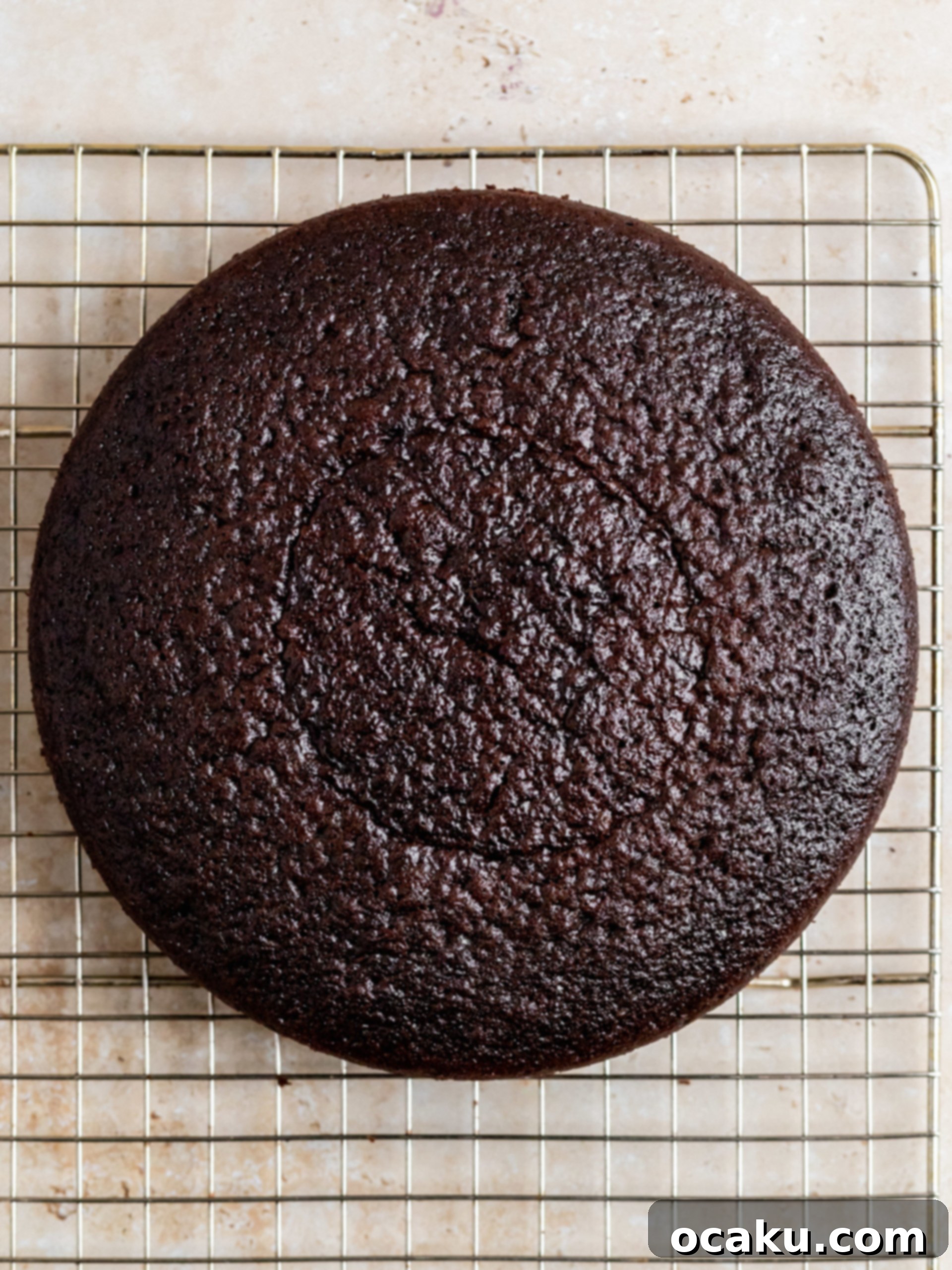 The finished chocolate ganache cake, beautifully frosted and ready to serve.