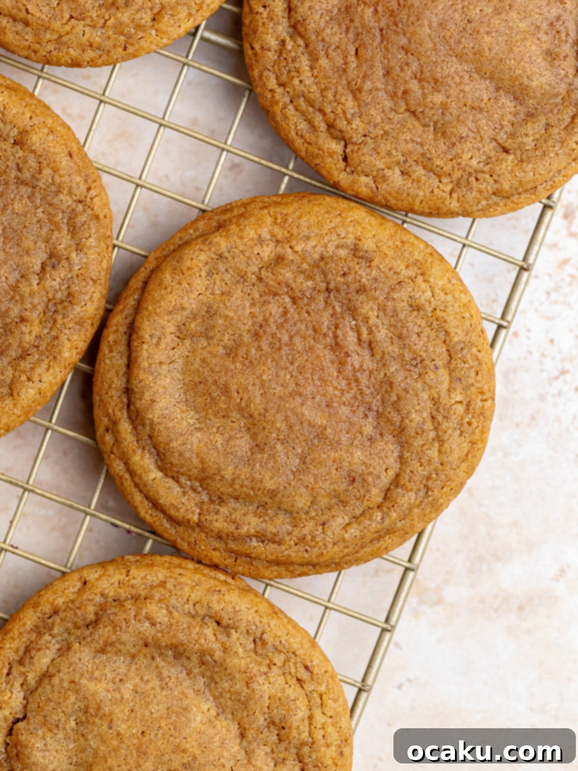 Coffee Mascarpone Cookies 9 Mascarpone cream piped onto a cooled coffee cookie.