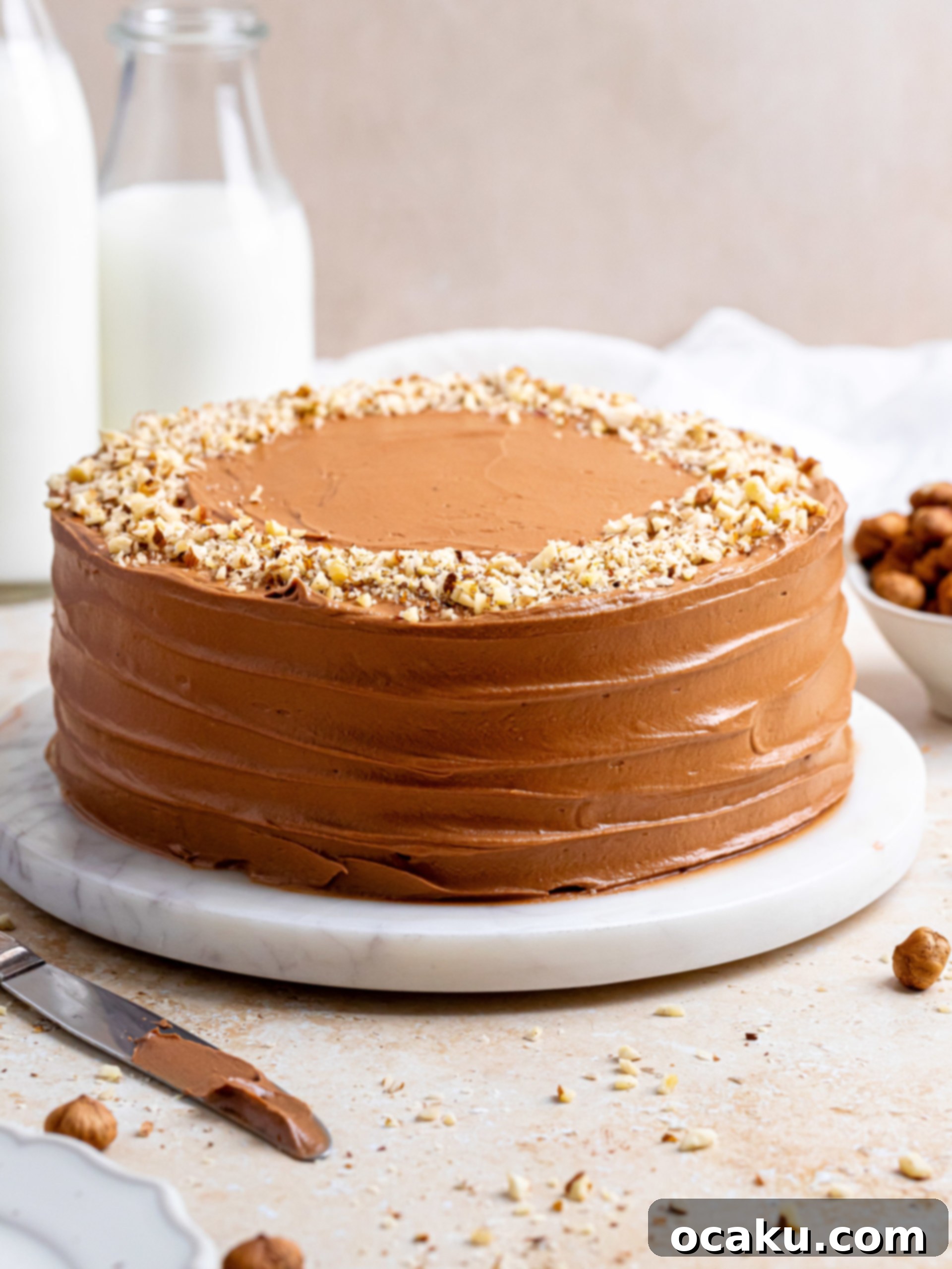 Decadent Nutella Cake 2 A stunning two-tier Nutella chocolate layer cake, generously frosted and ready to be served.