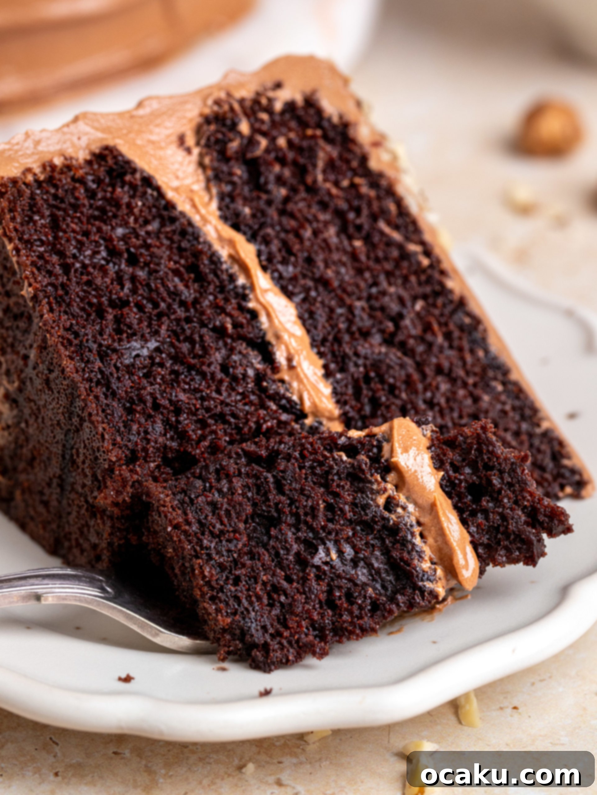 Decadent Nutella Cake 11 A beautifully decorated Nutella cake with chopped hazelnuts on top.