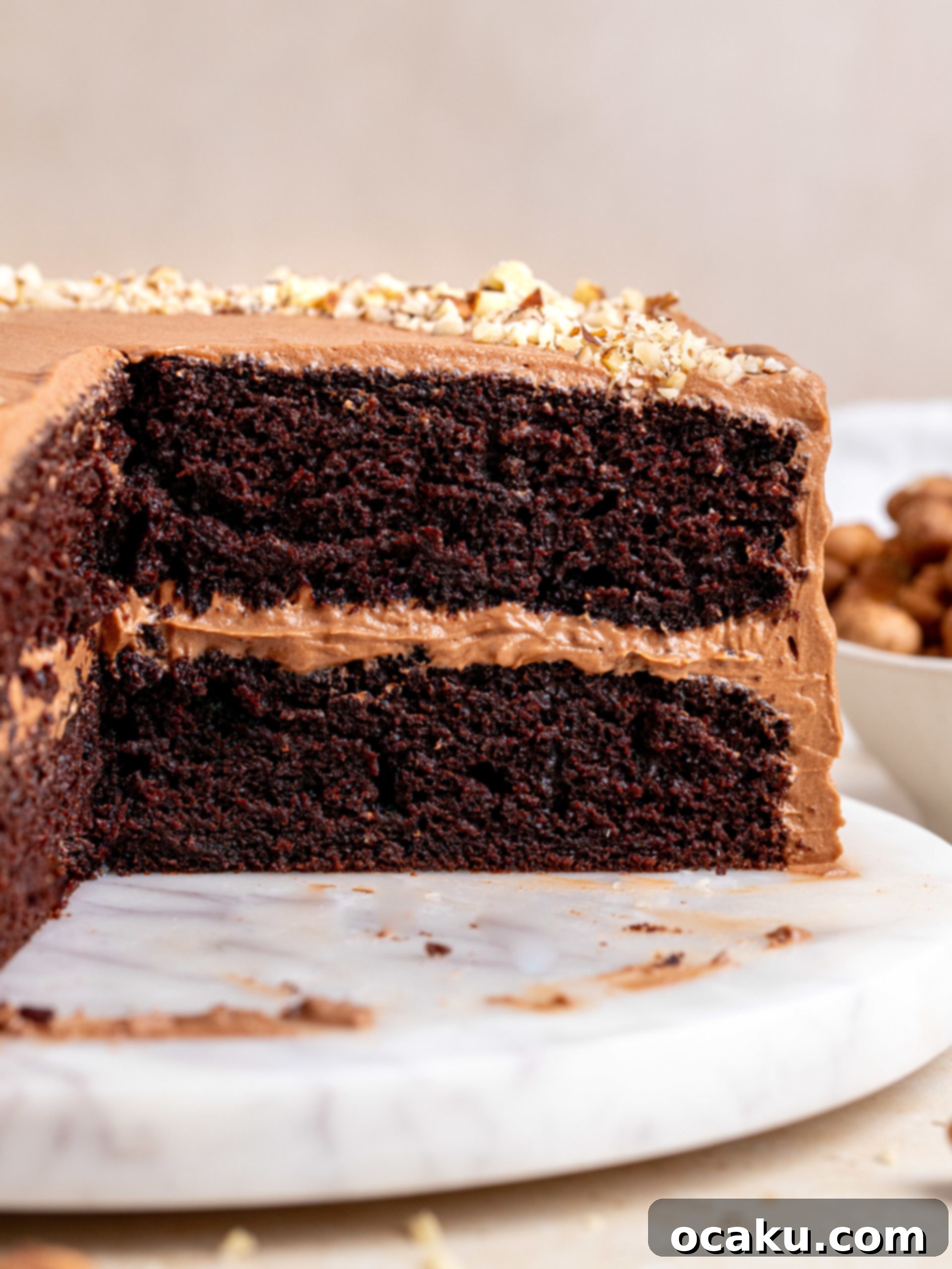 Decadent Nutella Cake 9 A slice of rich Nutella chocolate cake, showing moist layers and creamy frosting.