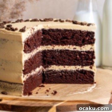 Mocha Fudge Cake 9 A beautifully decorated Coffee Chocolate Cake, ready to be served.