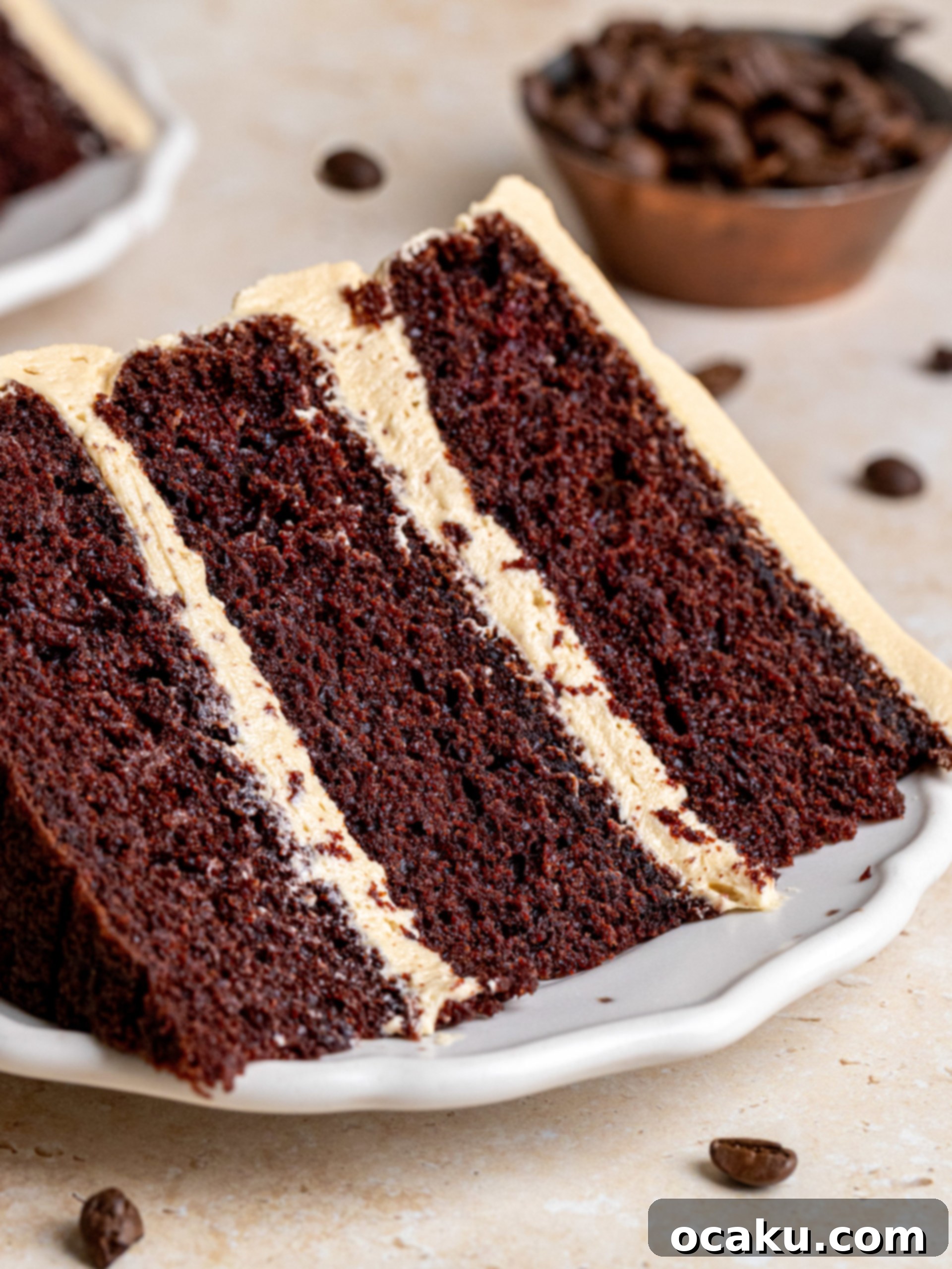 Mocha Fudge Cake 8 A final shot of the whole Coffee Chocolate Cake, beautifully frosted and ready to be served.