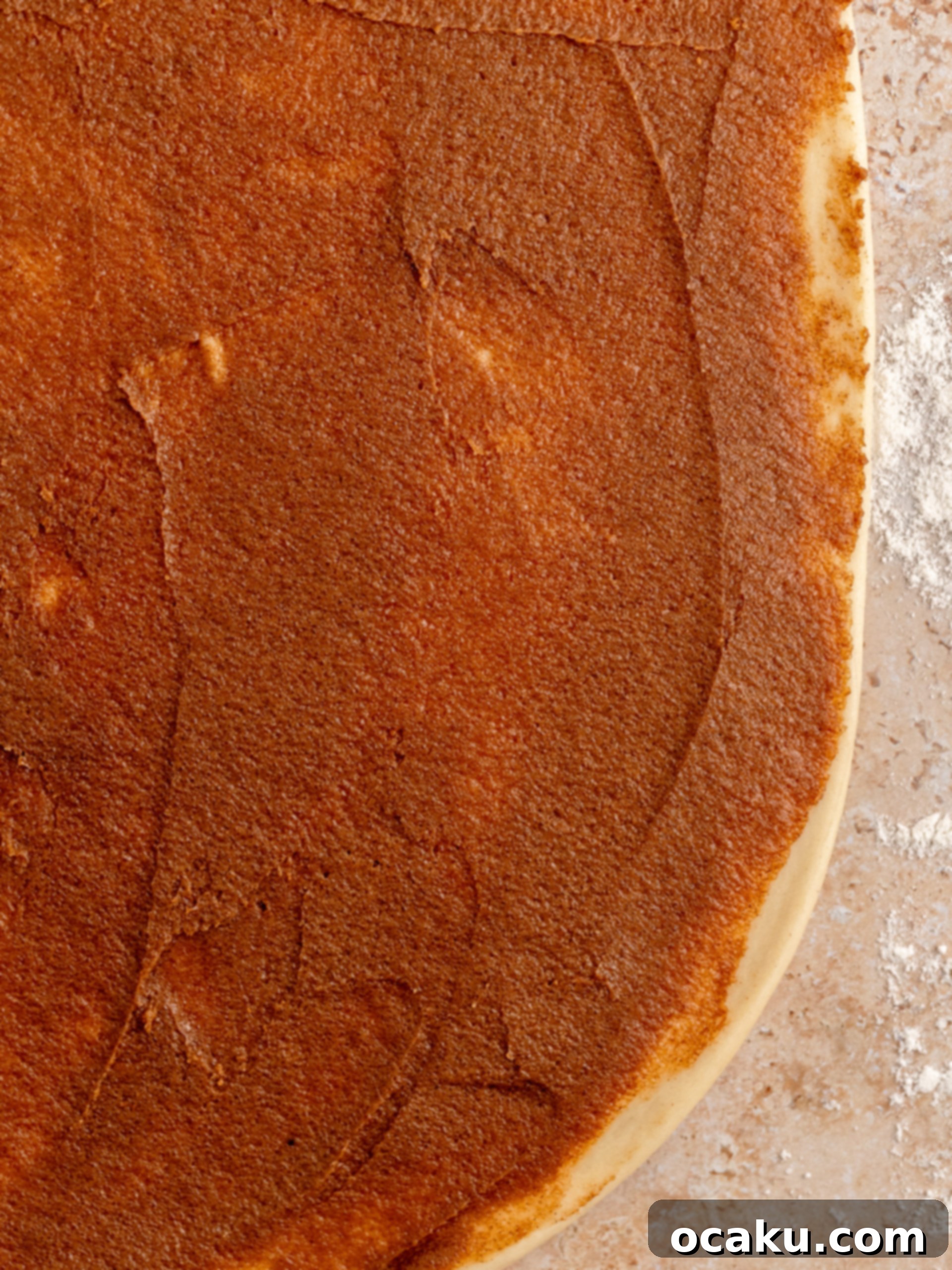 Brioche dough rolled out and covered with cinnamon filling.