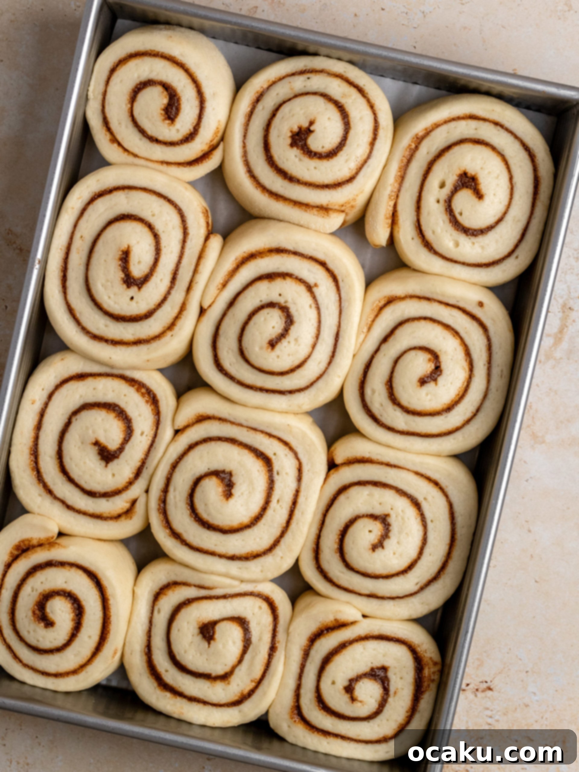 Cinnamon-filled brioche dough rolled into a tight log.