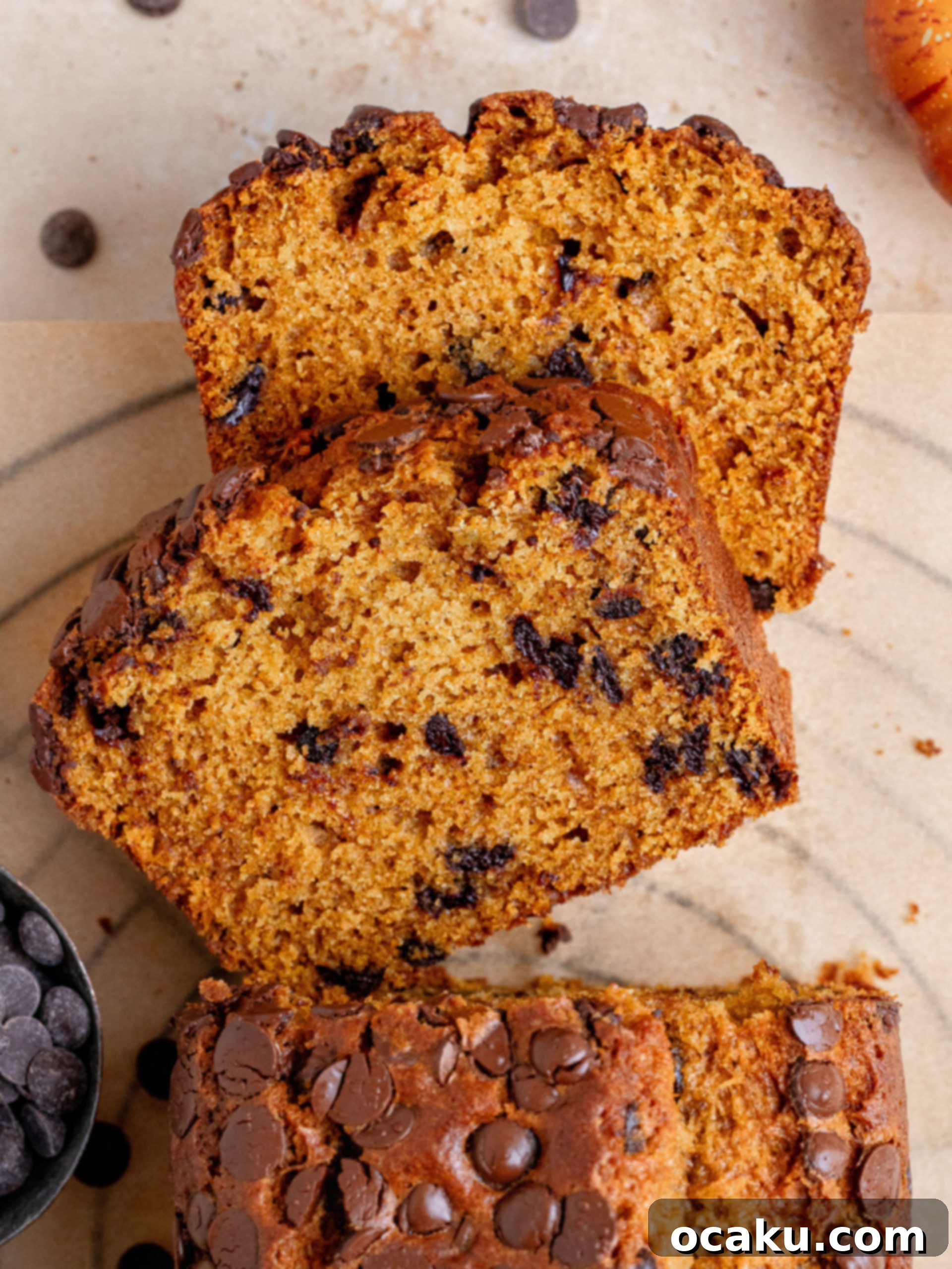 A perfectly baked pumpkin chocolate chip bread loaf with a golden crust.