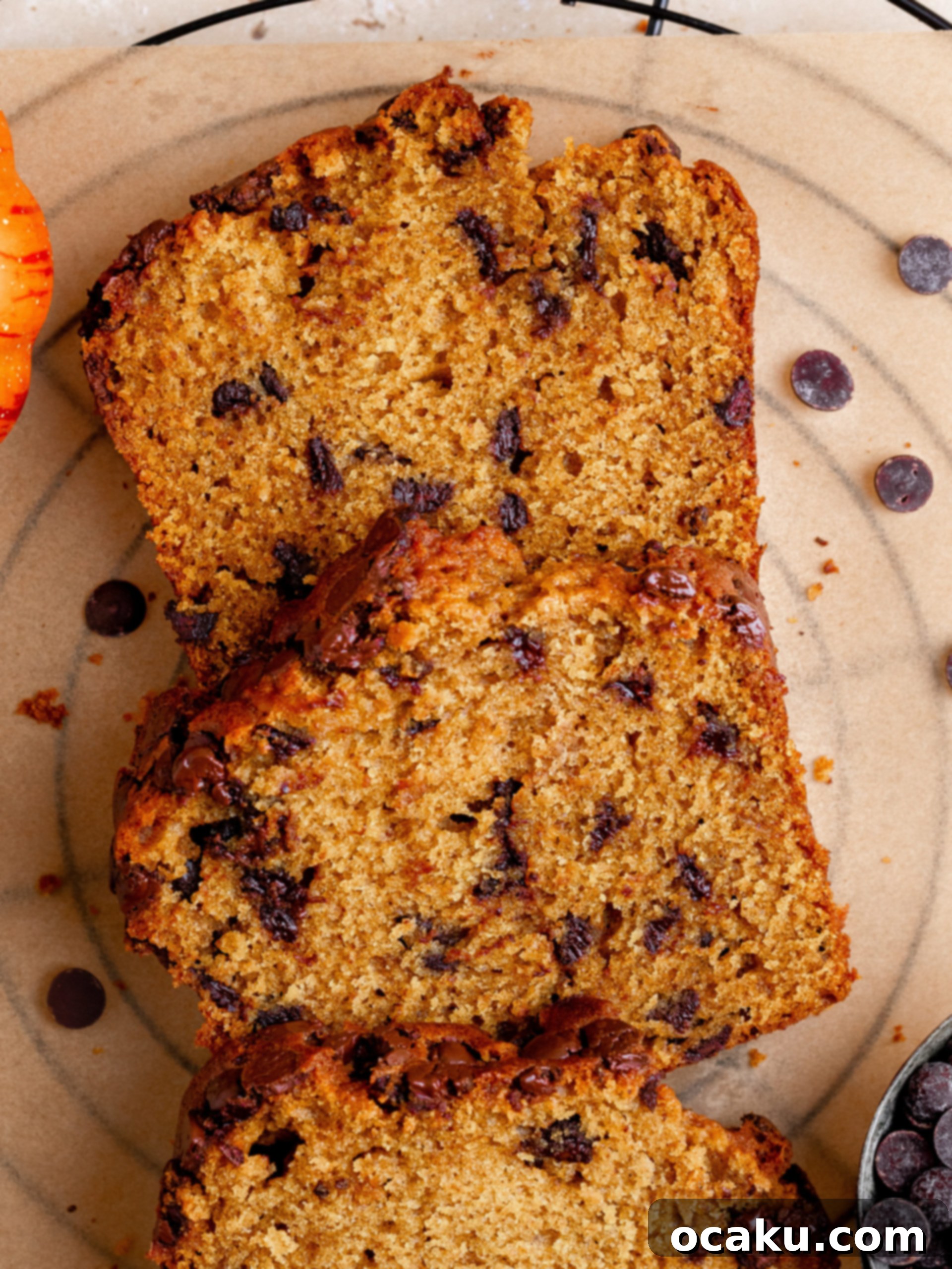 A close-up of a slice of pumpkin chocolate chip bread, showing the moist crumb and melted chocolate.