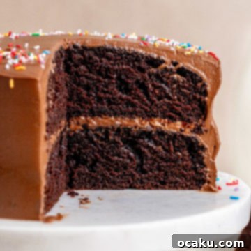 A charming close-up of the Mini Chocolate Cake, garnished with sprinkles, inviting a delightful bite.