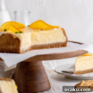 Spritz Sunset Cheesecake 7 juliemarieeats.com // Aperol Spritz Cheesecake