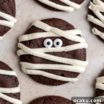 Spooky Halloween Mummy Cookies 7 Delicious Halloween Mummy Cookies with chocolate base and vanilla frosting.