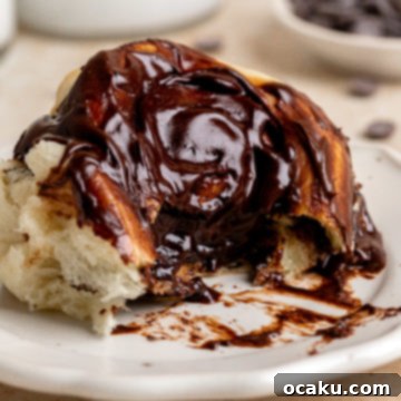 Gooey Chocolate Cinnamon Rolls with Cream Cheese Frosting