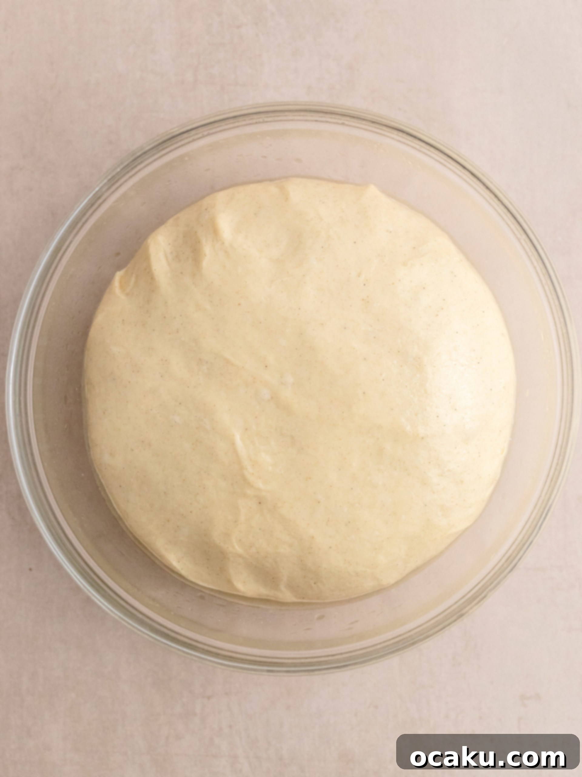 Dough rolled out with chocolate cinnamon filling spread on top