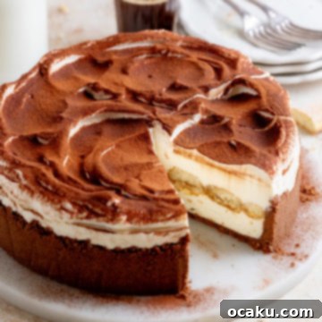 Tiramisu Cheesecake Indulgence 10 A slice of Tiramisu Cheesecake on a plate.