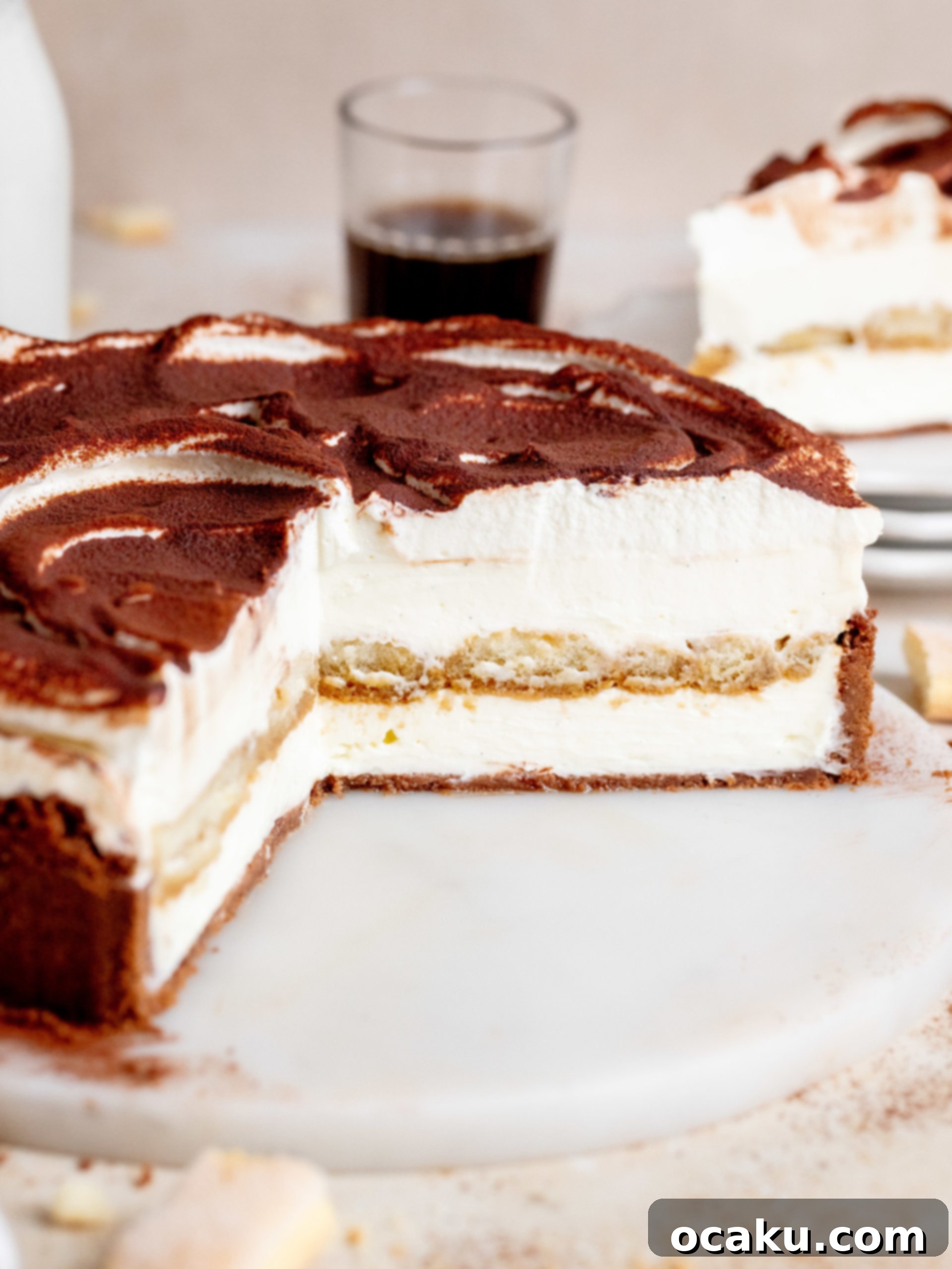 Tiramisu Cheesecake Indulgence 7 Finished Tiramisu Cheesecake being decorated with cocoa powder.